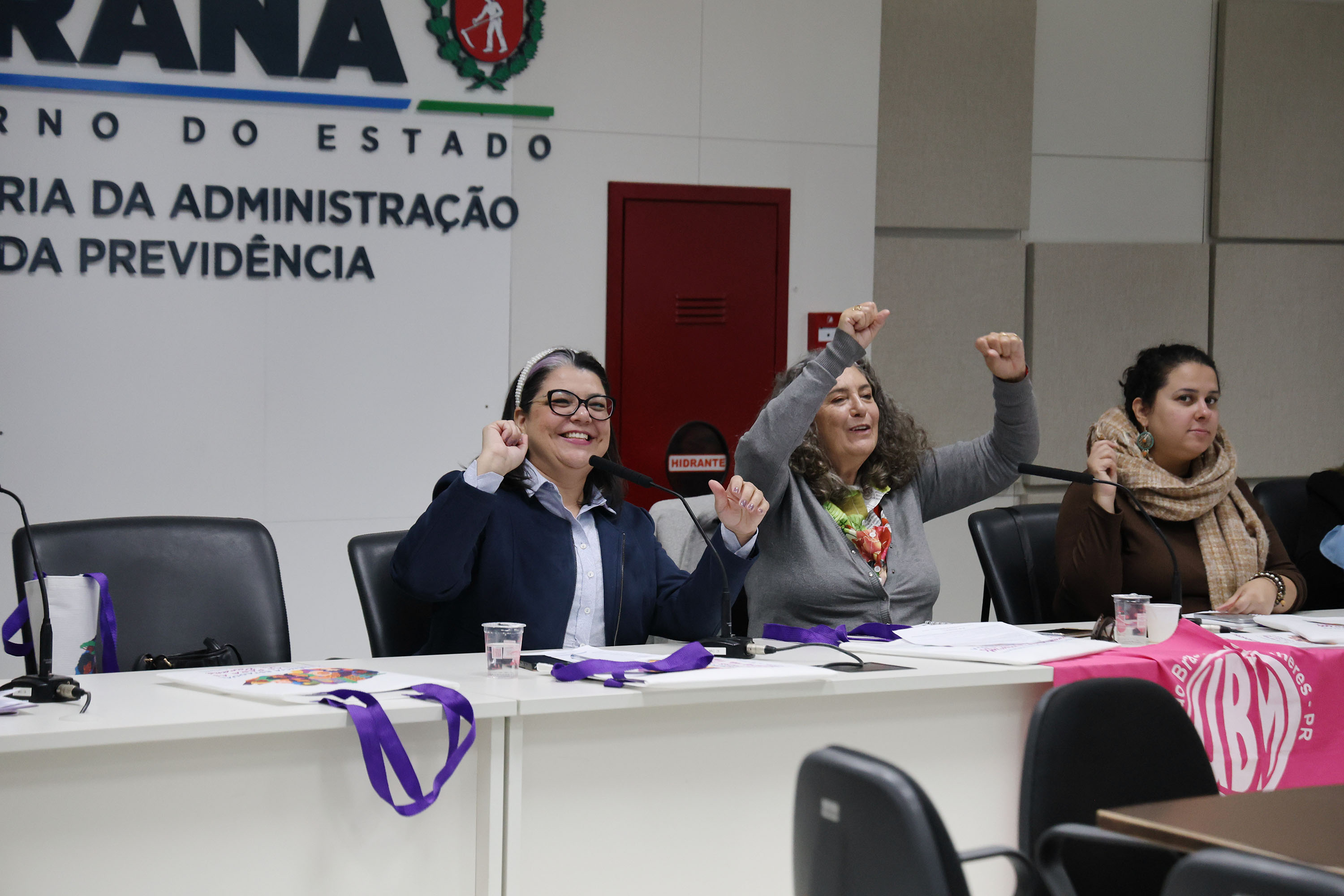 Conselho Estadual dos Direitos da Mulher elege nova presidência para o biênio 2025–2027