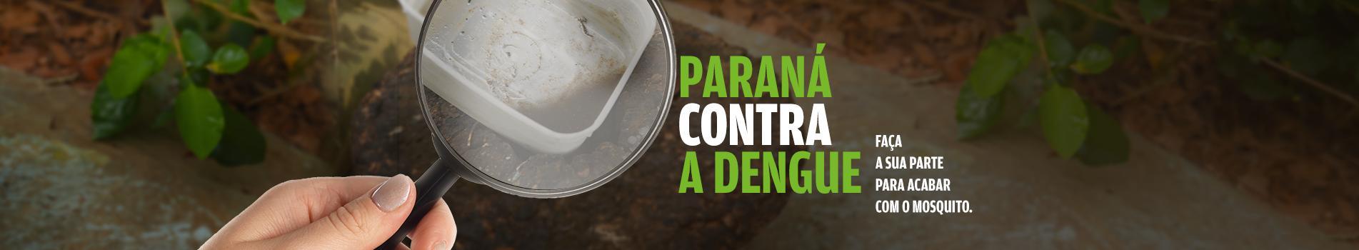 Paraná contar a dengue