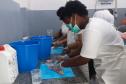 Projeto paranaense de produção de couro de peixe será implantado em Cabo Verde com apoio da ONU