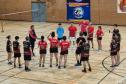 proesporte badminton