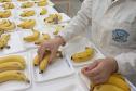 Aluna de escola estadual é premiada na maior feira de ciências do Brasil