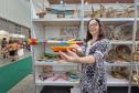 Delegação formada só por mulheres representa o Paraná na maior feira de artesanato do Brasil
