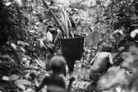 Com fotografias e livros sobre os Yanomami, MUPA inaugura mostra de Claudia Andujar