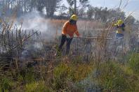 Brigadistas indígenas ajudam a conservar o patrimônio natural do Paraná