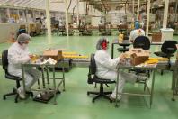 Com 6 mil mulheres contratadas, Paraná teve 3º melhor resultado do País em janeiro