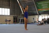 De Daiane a Júlia: Centro de Ginástica do Paraná ajudou conquistas da seleção brasileira