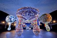 Exposição “Extravagâncias”