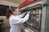 Paraná alcança número recorde de mulheres no mercado de trabalho