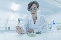 Pelo sexto ano consecutivo UEM ocupa o primeiro lugar do Brasil em produção científica liderada por mulheres.