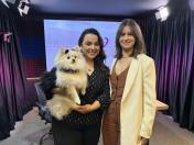 Laços que vão além do sangue: Ame-se revela a conexão das mães de pet e famílias multiespécie  