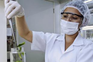 https://www.aen.pr.gov.br/modules/noticias/article.php?storyid=112970&tit=UEM-e-1a-universidade-das-Americas-em-pesquisas-de-mulheres