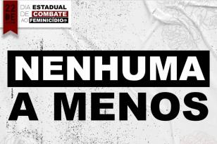 defesa da vida das mulheres