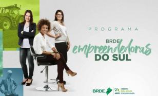 Programa que fomenta empreendedorismo feminino atinge 33,8 milhões de contratos no PR em 2021.