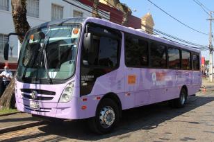 Ônibus lilás