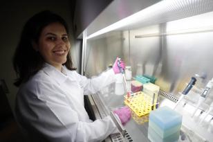 Pesquisadoras da UEM vão coordenar estudo nacional para prevenção do câncer do colo do útero. As professoras Márcia Consolaro e Vânia Sela da Silva com os bolsistas do projeto, Gabriela Prado, Cristiane Suemi Shinobu Mesquita, Maria Vitória de Souza e Edilson Damke.