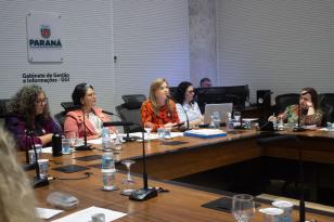 Conselho Estadual dos Direitos da Mulher instituiu comissão eleitoral e definiu pautas para a garantia de direitos