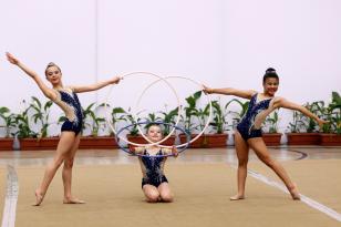 Campeonato Paranaense de Conjuntos de Ginástica Rítmica 