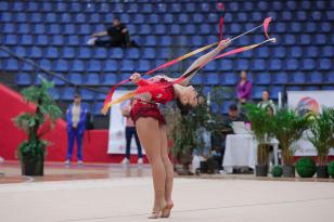 Com apoio do Estado, torneio regional sul de ginástica rítmica reunirá mais de 400 atletas