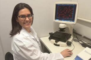 Pesquisadores estudam uso de composto na própolis para tratamento de câncer de mama