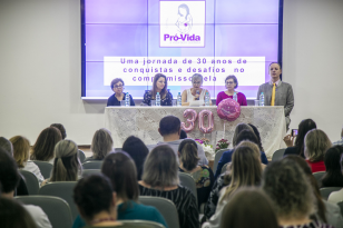 Comitê Pró-Vida de prevenção da mortalidade materna, infantil e fetal de Curitiba. 