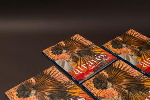 MON lança novos catálogos de exposições de Mariana Palma e Alberto Massuda