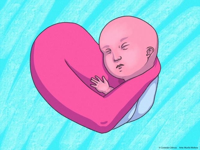 O segredo da amamentação é a dedicação e a perseverança