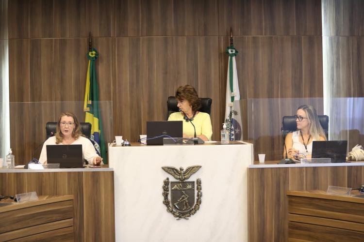 Audiência Pública Alep