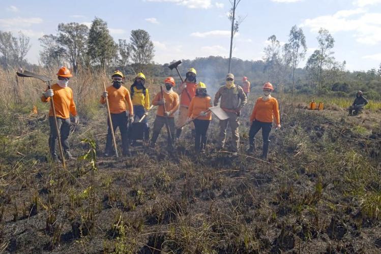 Brigadistas indígenas ajudam a conservar o patrimônio natural do Paraná