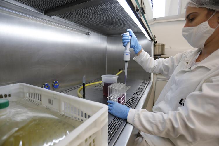 Com 6 mil mulheres contratadas, Paraná teve 3º melhor resultado do País em janeiro