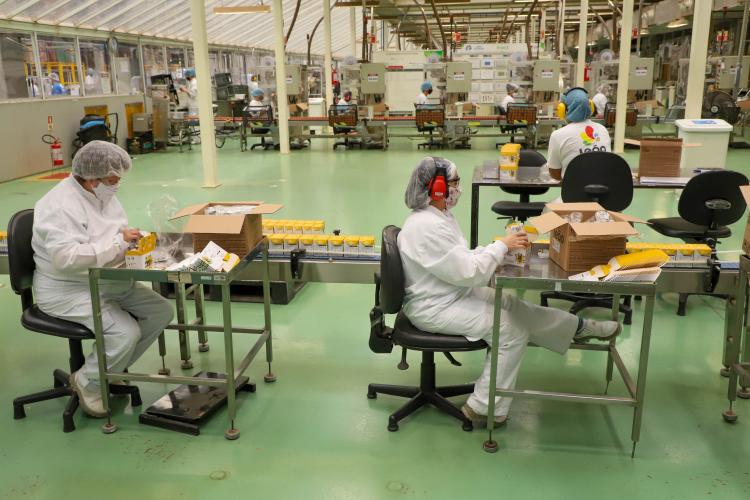 Com 6 mil mulheres contratadas, Paraná teve 3º melhor resultado do País em janeiro