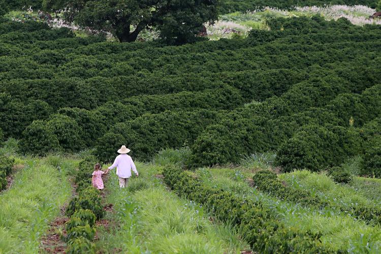 Projeto do Estado vai levar conhecimento a mais de mil mulheres rurais