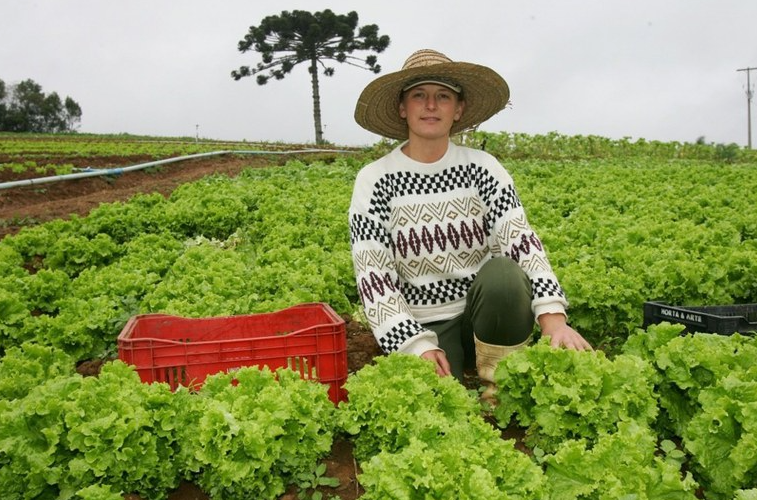Com novos Editais e novas linhas de crédito, famílias podem desenvolver diferentes projetos agrícolas