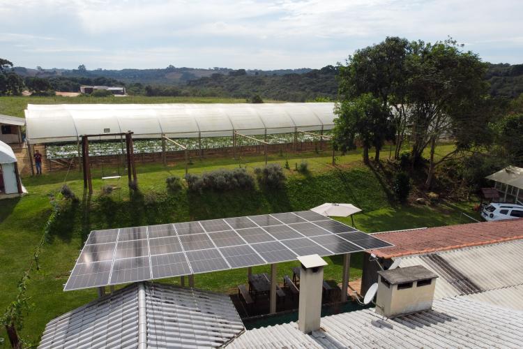 Characa Sao Miguel em Guajuvira no municipio de Araucaria que produz Morango com utilizacao de energia solar numa iniciativa do Renova