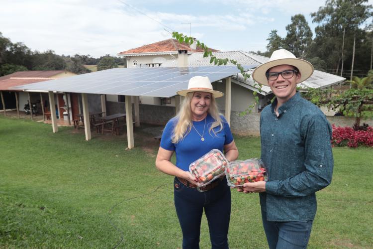 Characa Sao Miguel em Guajuvira no municipio de Araucaria que produz Morango com utilizacao de energia solar numa iniciativa do Renova Parana.
