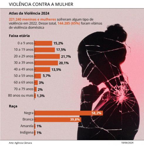Gráfico violência contra a mulher