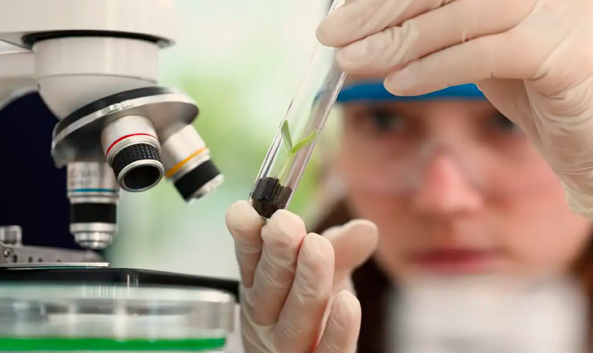 Premio Mulheres na Ciênica