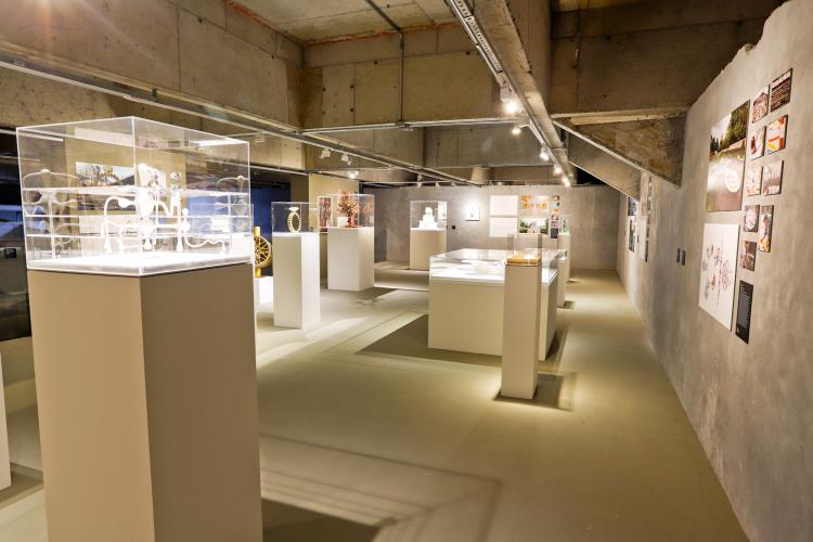 Exposição “Extravagâncias”