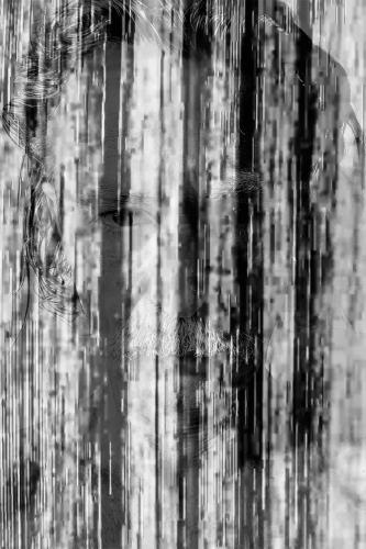 Exposição "Desver"