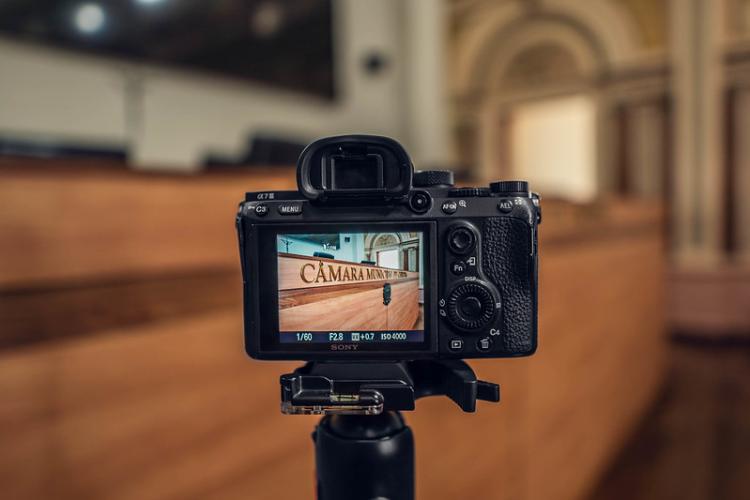 Das 12 vereadoras eleitas, 9 chegam à Câmara de Curitiba para o primeiro mandato.