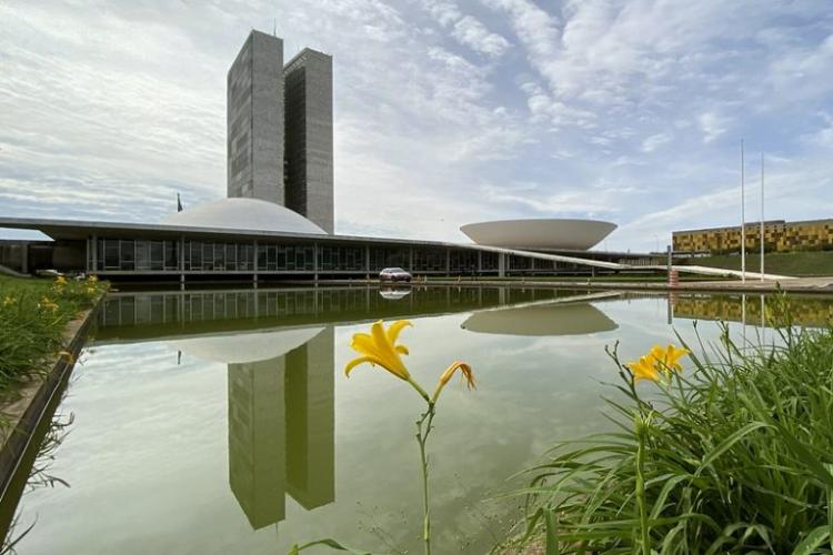 Campanha 21 dias de Ativismo pelo Fim da Violência contra as mulheres