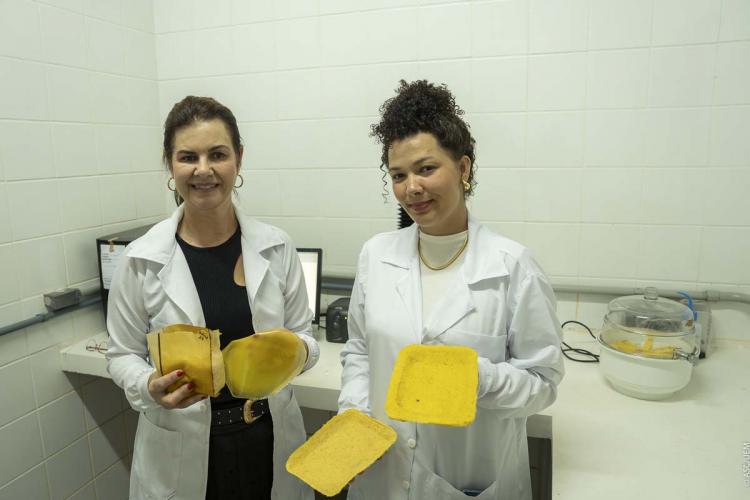Pesquisadora da UEM desenvolve embalagens biodegradáveis.