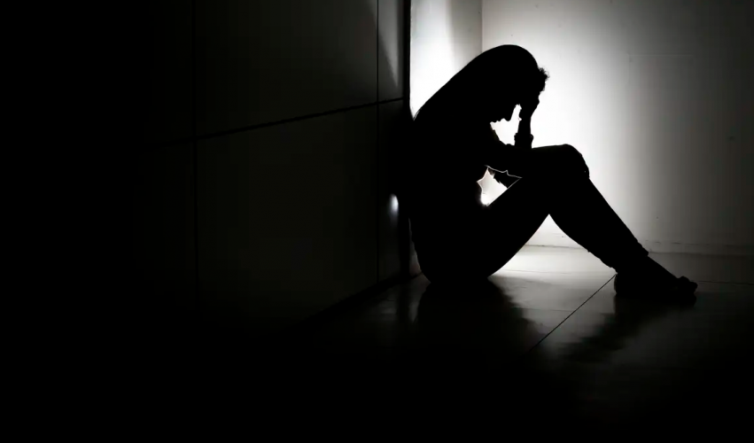 Pesquisa de Sarah Rocha Alves