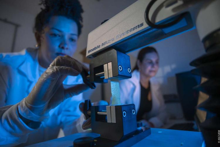 Pesquisadora da UEM desenvolve embalagens biodegradáveis.