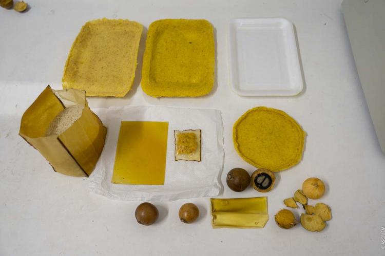 Pesquisadora da UEM desenvolve embalagens biodegradáveis.