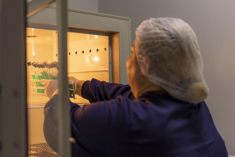 Bancos de leite dos HUs registram aumento de 77% nos atendimentos.