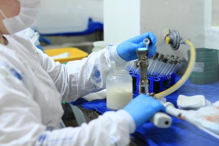 Bancos de leite dos HUs registram aumento de 77% nos atendimentos.