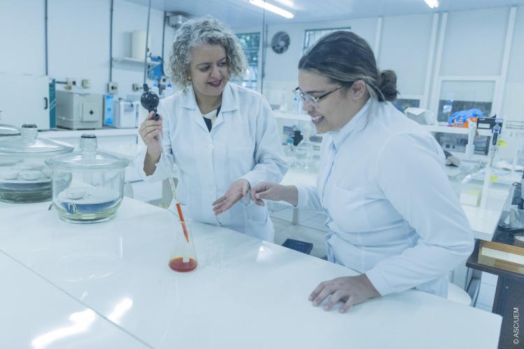 Pelo sexto ano consecutivo UEM ocupa o primeiro lugar do Brasil em produção científica liderada por mulheres.