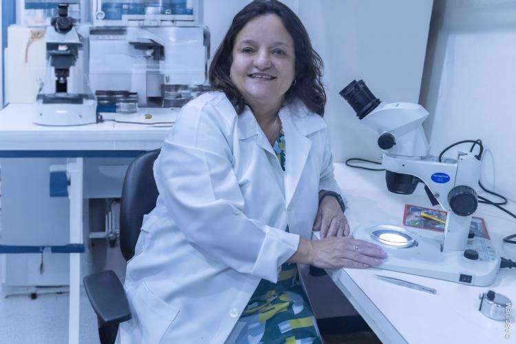 Pelo sexto ano consecutivo UEM ocupa o primeiro lugar do Brasil em produção científica liderada por mulheres.