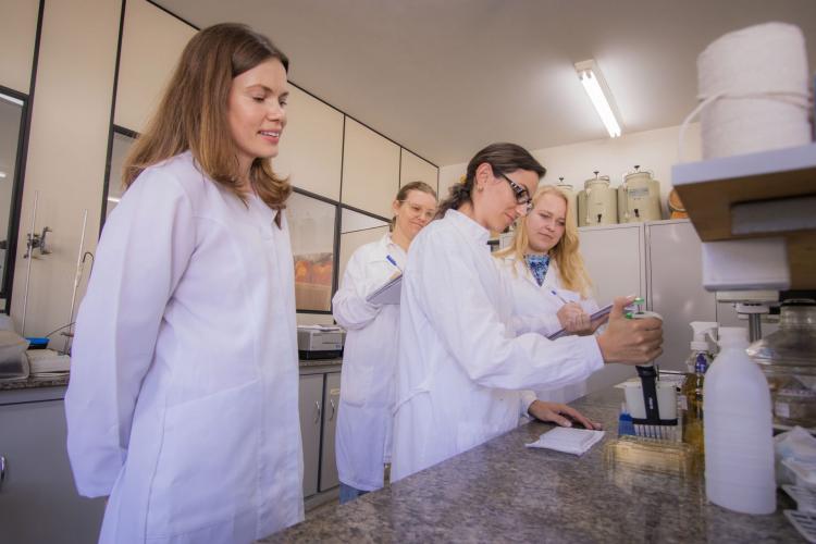 Protagonismo feminino cresce nas universidades estaduais.