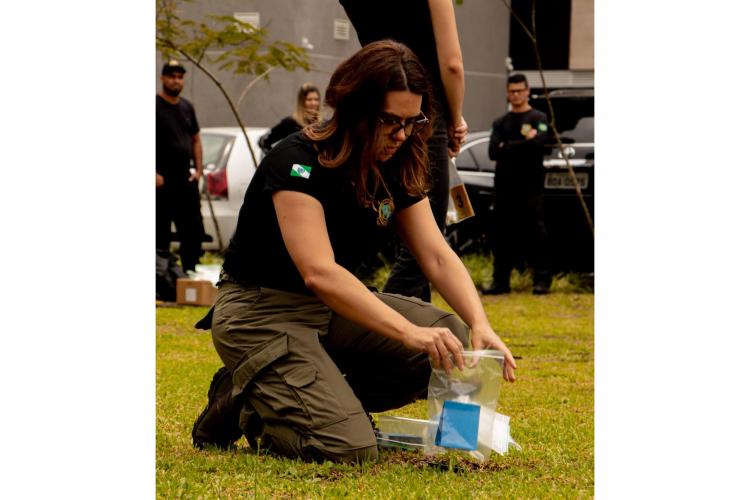 Mulheres na Polícia Científica do Paraná